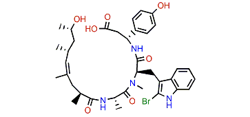 Jaspamide Z1